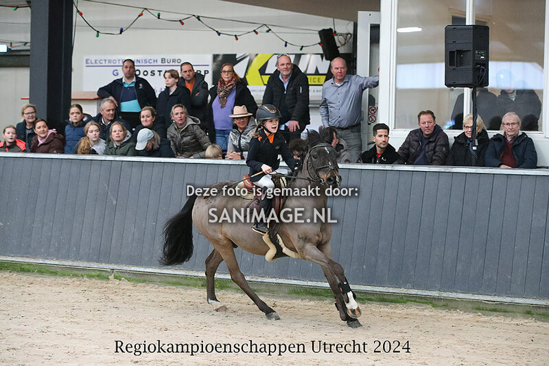 KNHS Regiokampioenschappen Utrecht 11-02-2024 Pony's Rijstijl 50/60/70 cm Cat. A/B/C