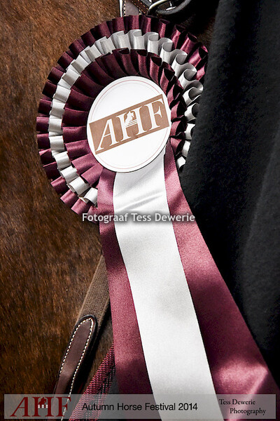 Autumn Horse Festival 2014