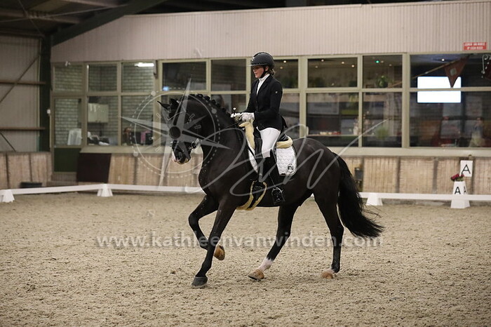 Noa Prijs - Scouzi Ballante