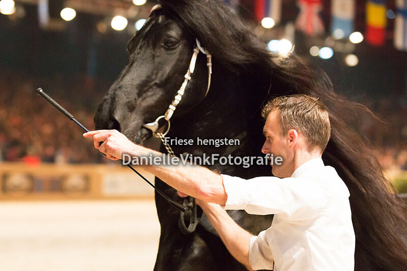 Hengstenkeuring 2018 Stendert 447
