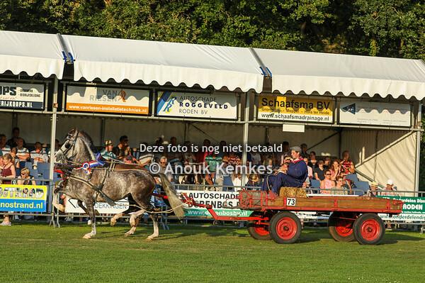 Huldiging Kampioenen