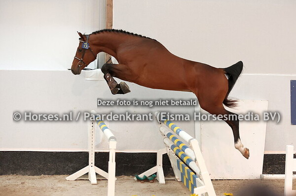 17 C’Est Tour vh Wimpelhof  (Corydon van T&L x Toulon)