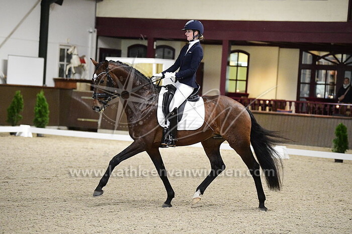 Pem Verbeek - Obvious Pleasure