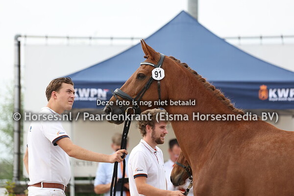 91 Valery (Proud James x Ivory v. Emerson)