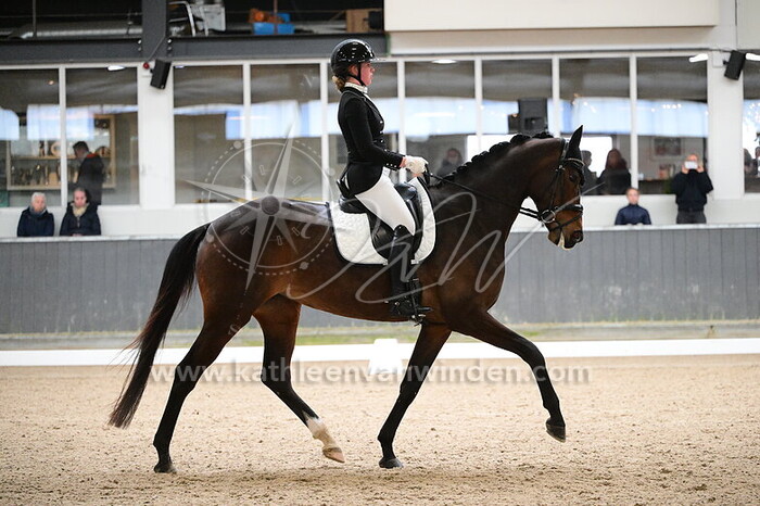 Noor Brokx - MLC's Ovita