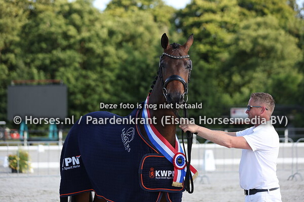 40 Seniz Texel (McLaren x Feniz Texel v. Negro)