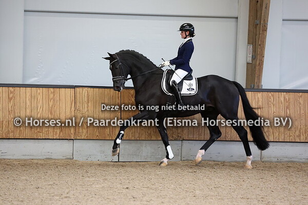 44 Magic Mckee L (Total Mc Laren x Negro)