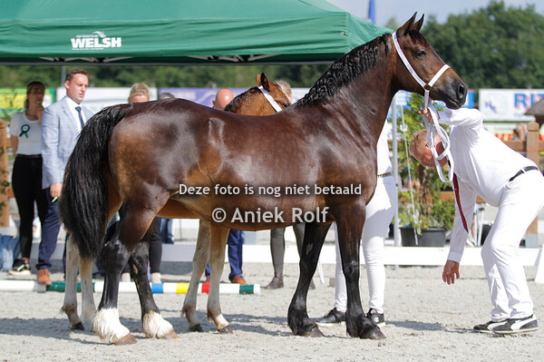 Regionale Keuring Tolbert