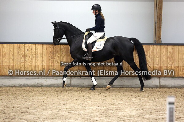 26 Nova Fille de Ghita S (Desperado x Ghita Fille de Zita)