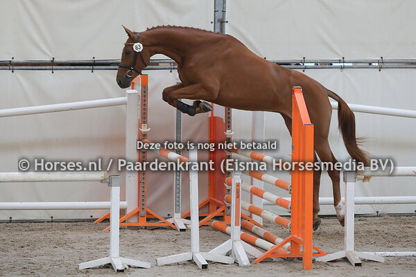 83 lEFANDRIA VAN DE EIJKHOF 1