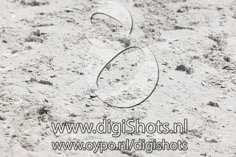 Travolta VD Watermolen v. Maigret vd Watermolen