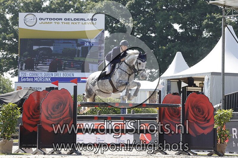 Cornets Queen Dree Boeken