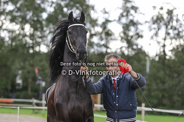 35. Mefrou van Dynamis