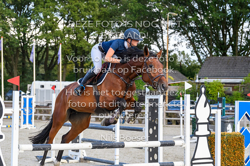 7 Paarden Klasse 110cm