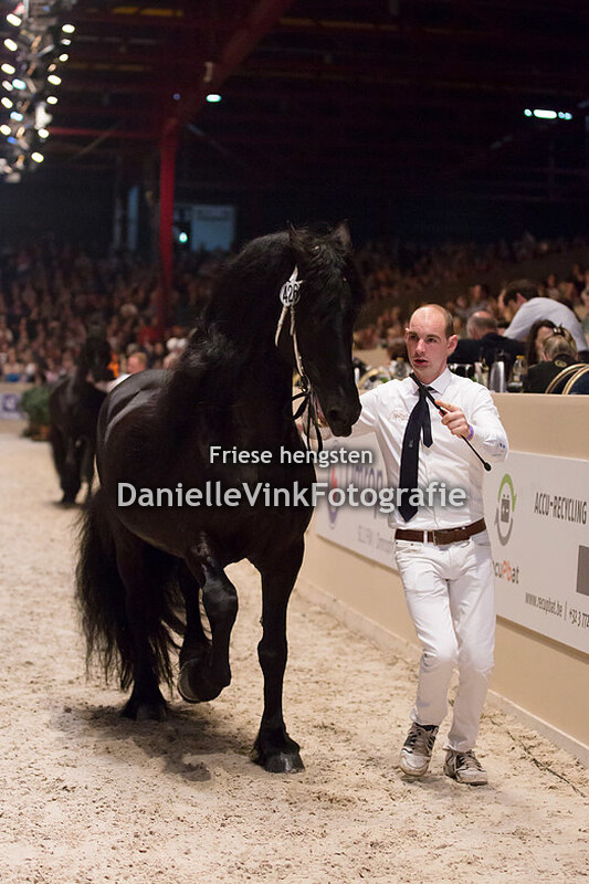 Hengstenkeuring 2018 Gjalt 426