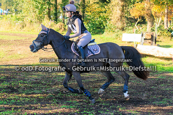 Eventing Barchem Pony L 26-10-24