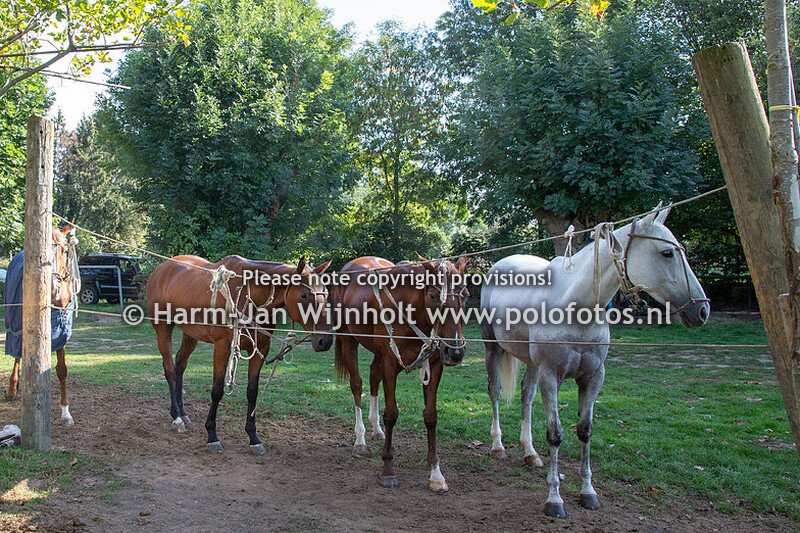 Last of the season cup 2018