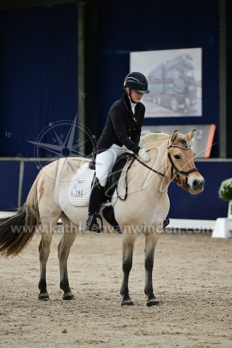 Quincy Holterhues - Lustine