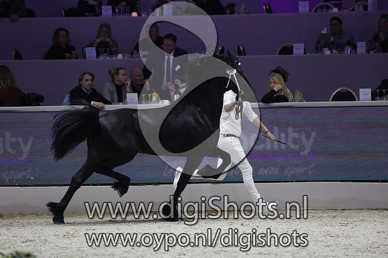 Pieter L 038 v. Tymen 503