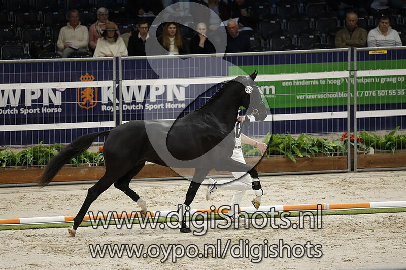 Ravage Epj v. Furst Zonik Ps - 375