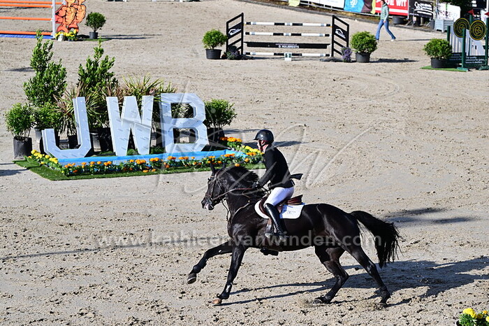 Ivan Dalton - Dialino