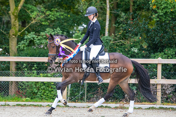 Huldiging Now Or Never en Allround Kampioennen