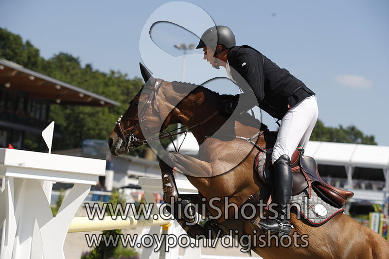 Sterrehofs Dante NOP