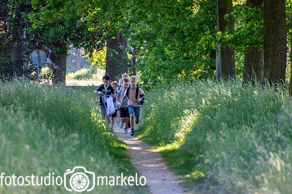 Avondvierdaagse Markelo 2025