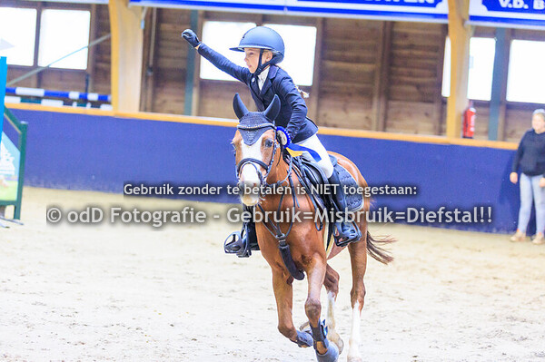 Geldrop Hippique pony 70cde  11-10-25