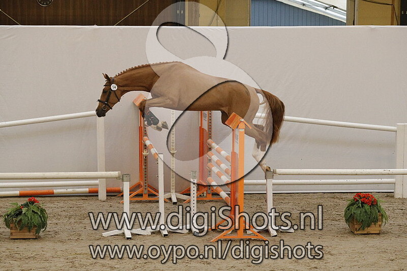 014 Goubet d Arvor v. Baloubet du Rouet