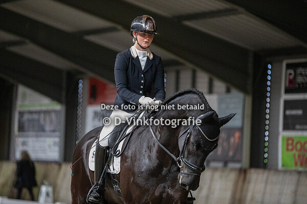 Demi van Nuys - Maine van de Demro Stables