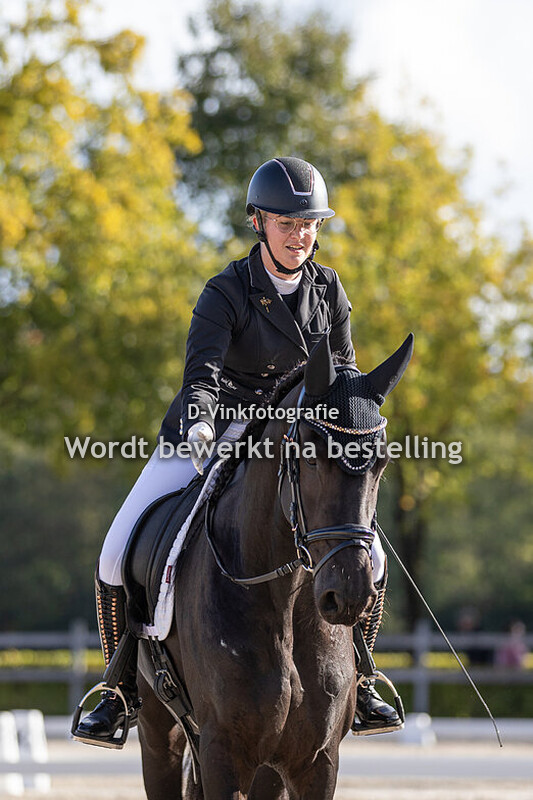 Joyce de Haan - Haiko fan Dynamiek