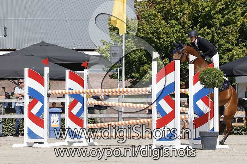 Paarden 1.20 m 2e manche