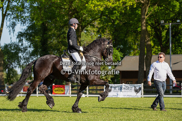 22. Tuigen onder het zadel