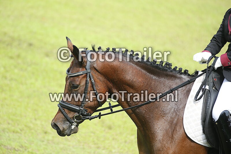 Dara Ninggar Prameswari