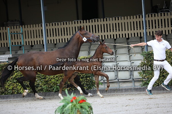 5 O (Iniesta TN x Lalanta v. Grandorado TN)