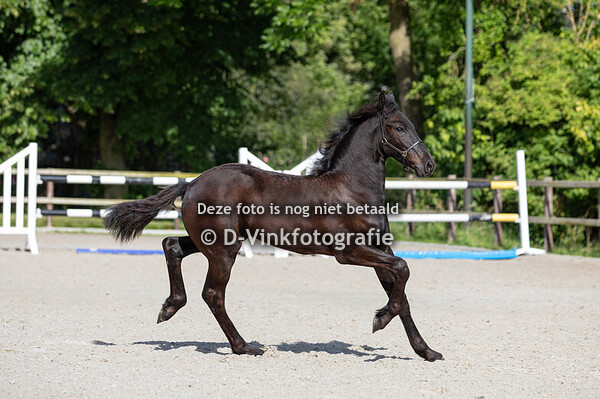 02. Bartho van de Veenhoeve