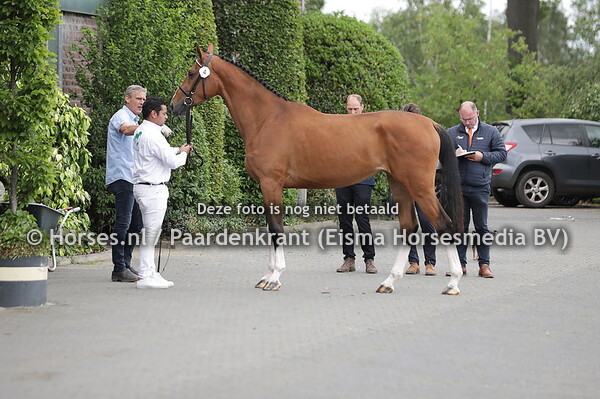 14-06-22 STBK Enter en luttenberg