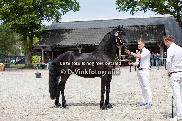 23. Utine van de Olde Mette Moate