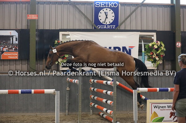 50 Liebeling D (Baltic VDL x Zyona v. Emilion)