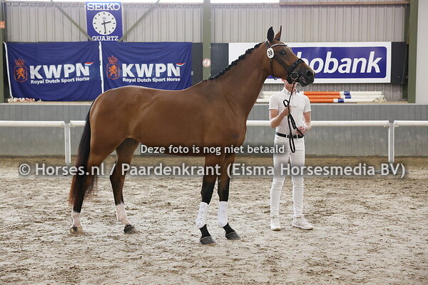 39 Raaf (Giano S x Marie-Claire v. ferdinand)