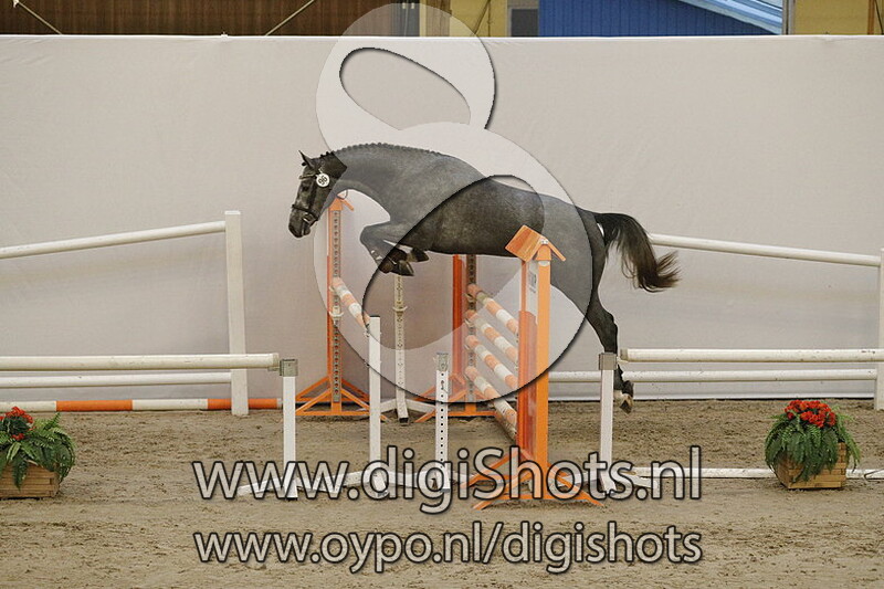 096 Lassini SB v. Emir R