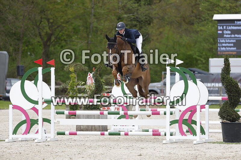 fabienne lichtenvoort cats