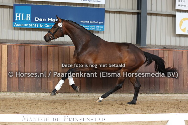 17 Seville (McLaren x Minovera v. High Five)