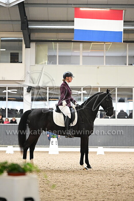 Nynke Kiela-Siderius - Jeffelin Royal