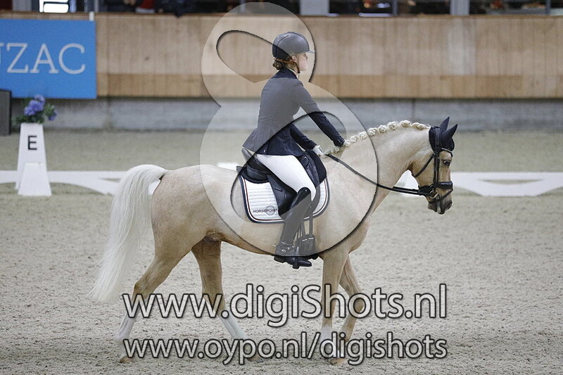 Don Davino Horse Point