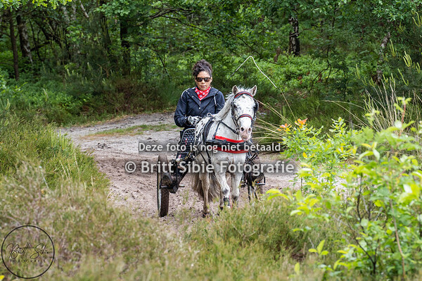Eper Paardenvierdaagse - Eper Paarden4daagse WOENSDAG