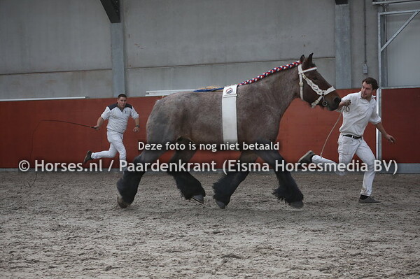 55 Saar van de Dekkershoef (1)