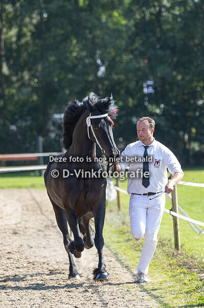 51. Olga van de Dompstede