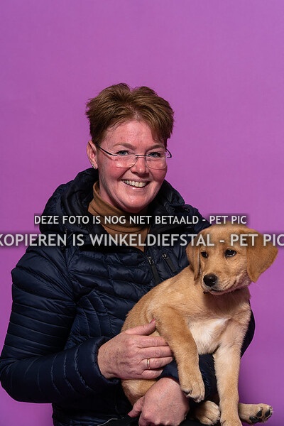 hond 13